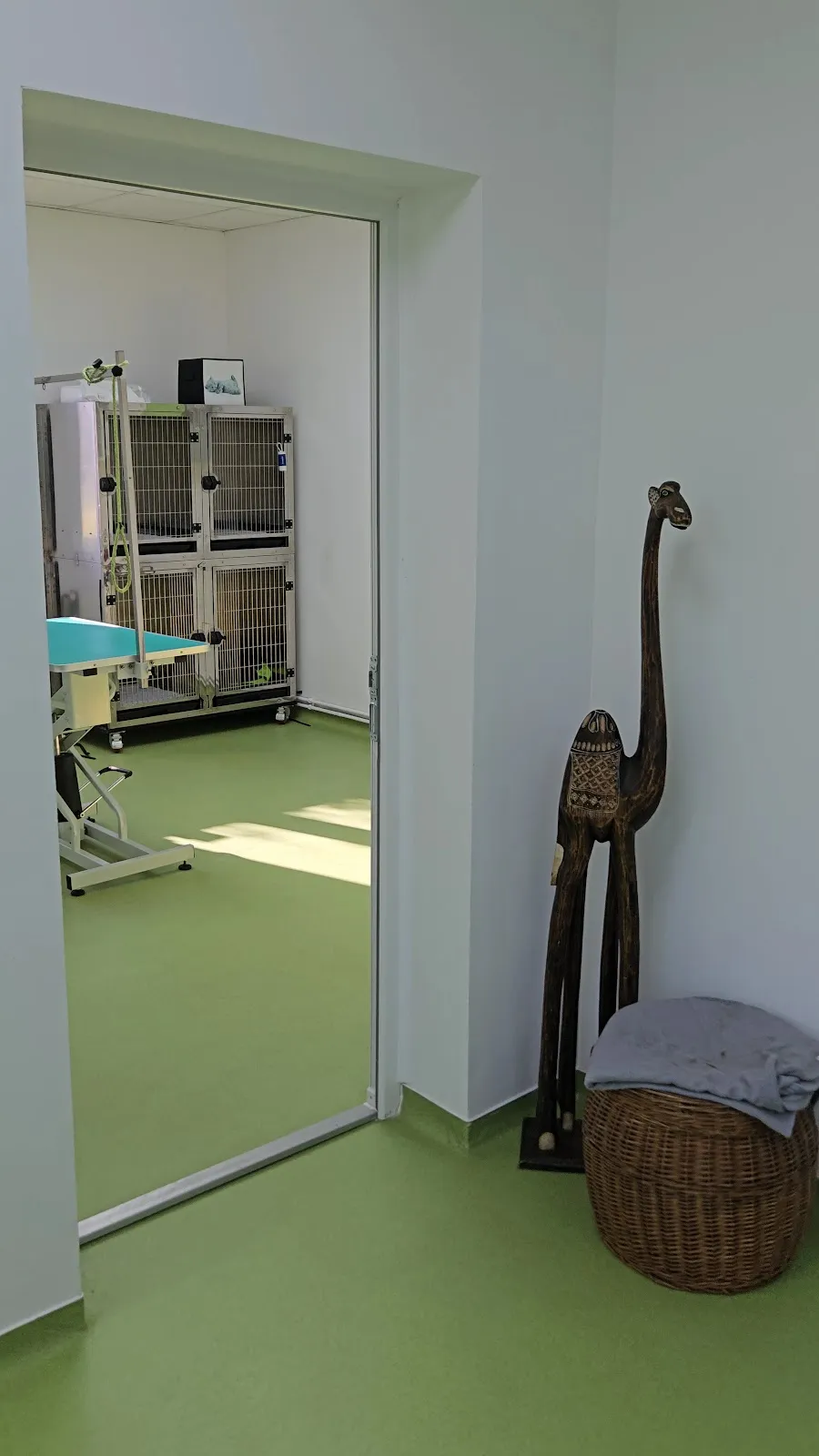 Salonul de spitalizare: cuşti de inox, masă hidraulică, podea verde